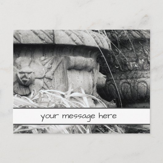 植物ポット初期春白黒カスタムメッセージ ポストカード (正面)