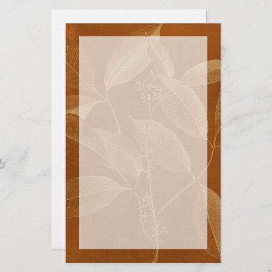 植物モダン学六世 便箋 (正面/裏面)