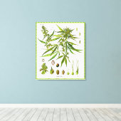 植物ヴィンテージボタニースケッチキャンバスプリント キャンバスプリント (インサイチュ (ウッドフロア))