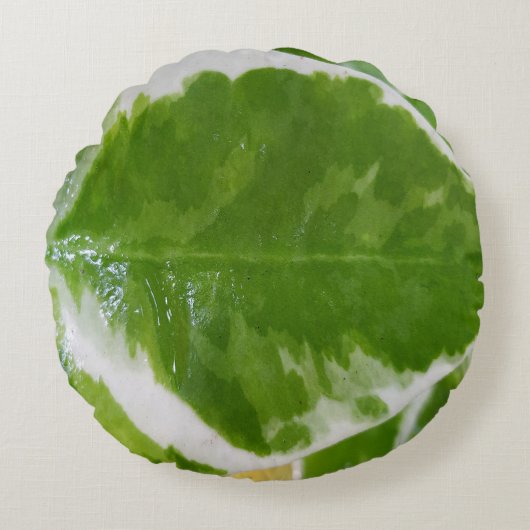 植物丸枕 ラウンドクッション (正面)