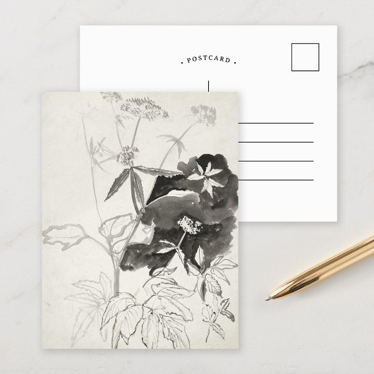 植物勉強 | Carel Adolph Cachet ポストカード