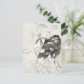 植物勉強 | Carel Adolph Cachet ポストカード (スタンド正面)