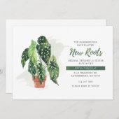 植物動意発表 (正面/裏面)