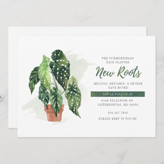 植物動意発表 (正面/裏面)