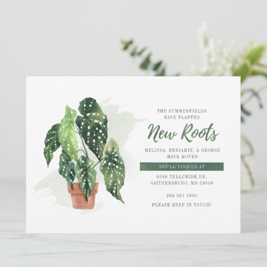 植物動意発表 (スタンド正面)