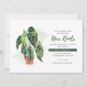 植物動意発表 (正面)