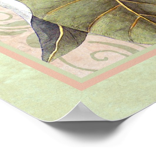 植物南エレガントスタイルポスターマグノリア ポスター (角)