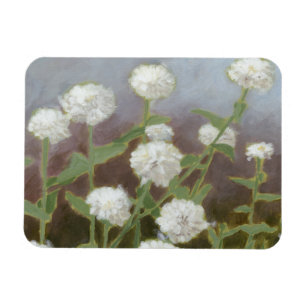 植物園の勉強I マグネット