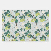 植物園の梨と蜂フローラ ラッピングペーパーシート (正面3)