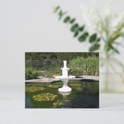 植物園の泉 ポストカード (スタンド正面)