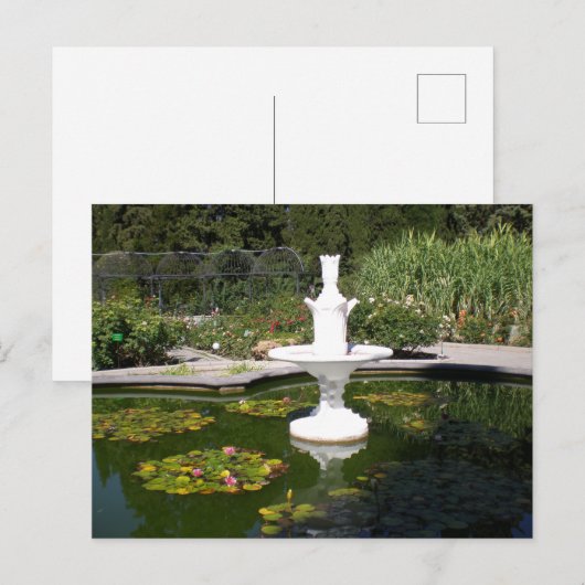 植物園の泉 ポストカード (正面/裏面)
