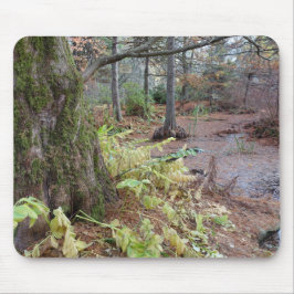 植物園の秋の景色。 マウスパッド