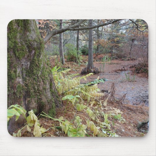 植物園の秋の景色。 マウスパッド (正面)