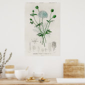 植物園の青い野の花イラスト ポスター (キッチン)