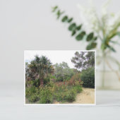 植物園キャンベラ ポストカード (スタンド正面)