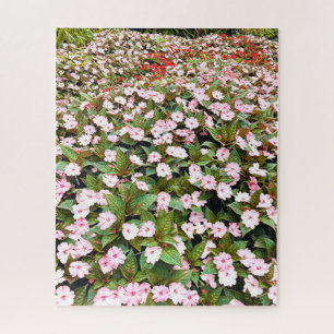 植物園ピンクの花NSW ジグソーパズル