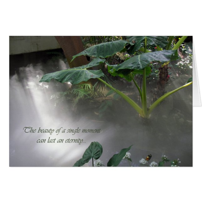 植物園 (正面横)