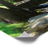 植物園、ストリーム、フットブリッジ ポスター (角)