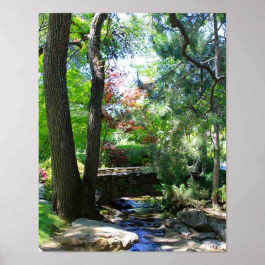 植物園、ストリーム、フットブリッジ ポスター (正面)