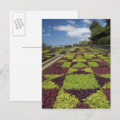 植物園、ファンカル、マデイラ諸島 ポストカード (正面/裏面)