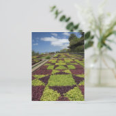 植物園、ファンカル、マデイラ諸島 ポストカード (スタンド正面)