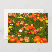 植物園 ポストカード (正面/裏面)