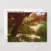 植物園 ポストカード (正面/裏面)