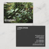 植物園 名刺 (正面/裏面)