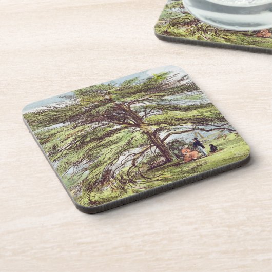 植物園、Kew Gardeのレバノンのヒマラヤスギ木 コースター (左側)