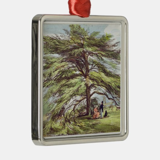 植物園、Kew Gardeのレバノンのヒマラヤスギ木 メタルオーナメント (右)