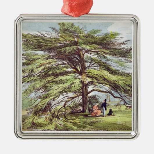 植物園、Kew Gardeのレバノンのヒマラヤスギ木 メタルオーナメント (正面)