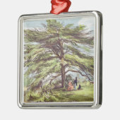 植物園、Kew Gardeのレバノンのヒマラヤスギ木 メタルオーナメント (左)