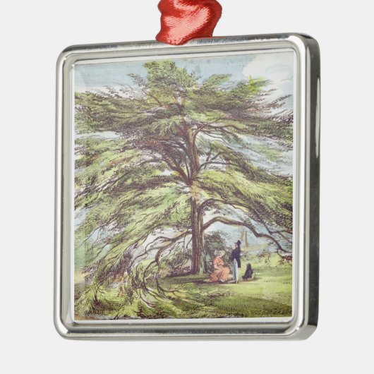 植物園、Kew Gardeのレバノンのヒマラヤスギ木 メタルオーナメント (左)