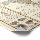 植物地理概論 ポスター (角)