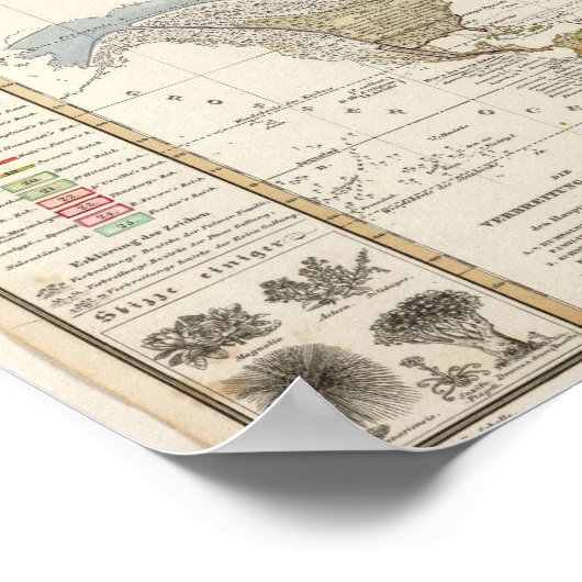 植物地理概論 ポスター (角)