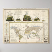 植物地理概論 ポスター (正面)