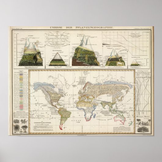 植物地理概論 ポスター (正面)