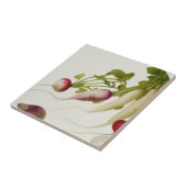 植物大根 タイル (側面)