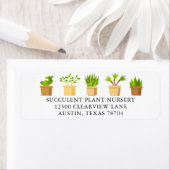 植物子供部屋多肉植物学差出人住所 ラベル (インサイチュ)