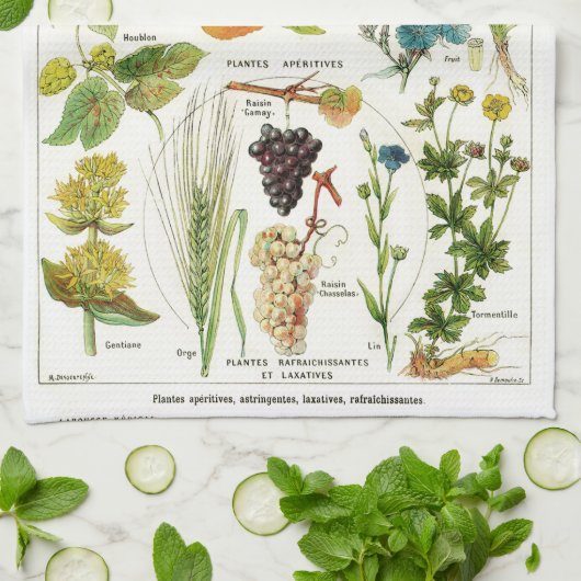 植物学の キッチンタオル (折り畳み)