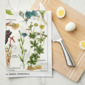 植物学の キッチンタオル (四つ折り)