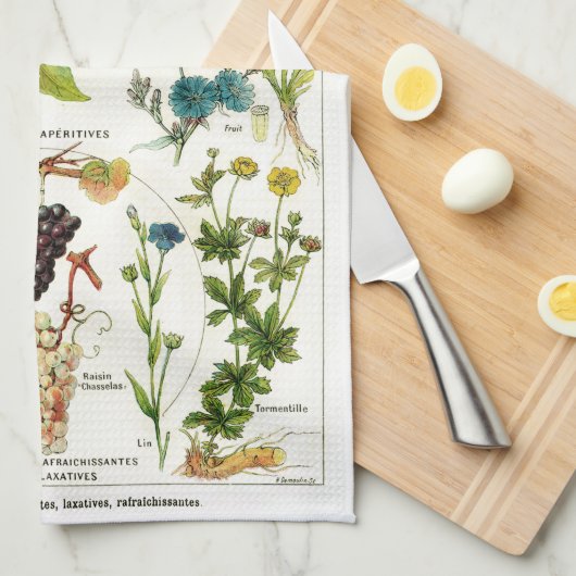 植物学の キッチンタオル (四つ折り)