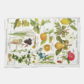 植物学の キッチンタオル (横)
