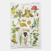 植物学の キッチンタオル (縦)