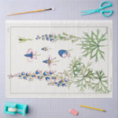 植物学フランスのの紋章 薄葉紙 (クラフト)