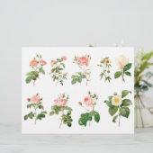 植物学ローズ 繊細なカット・裏面にスクリプト (スタンド正面)