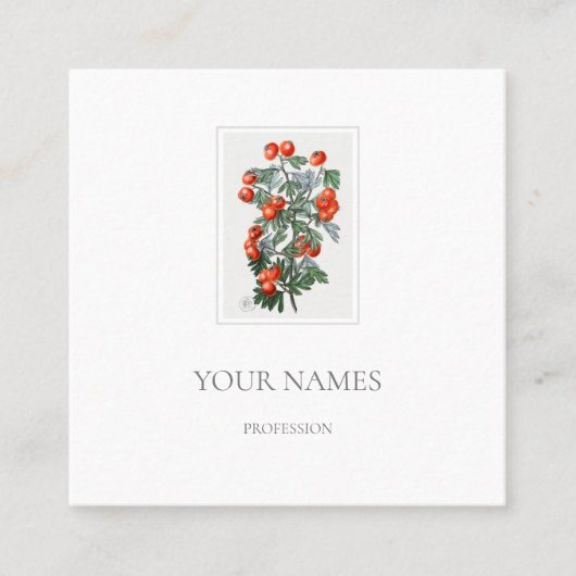 植物学用ホーソン白名刺 スクエア名刺 (正面)