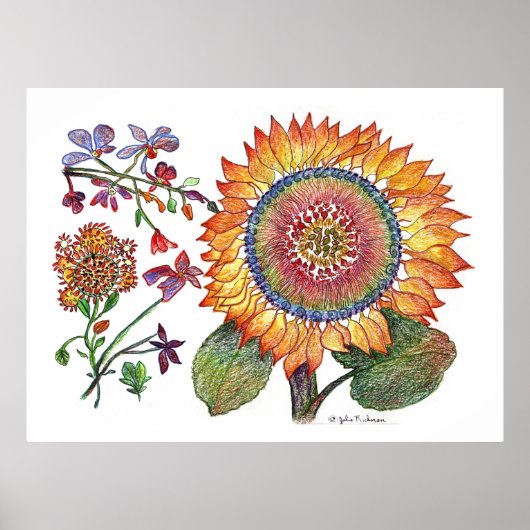 植物学46 ポスター (正面)