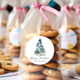 植物学 エレガント メリークリスマス ラウンドシール