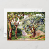 植物学：コルクツリーアットチントラニアリスボン ポストカード (正面/裏面)